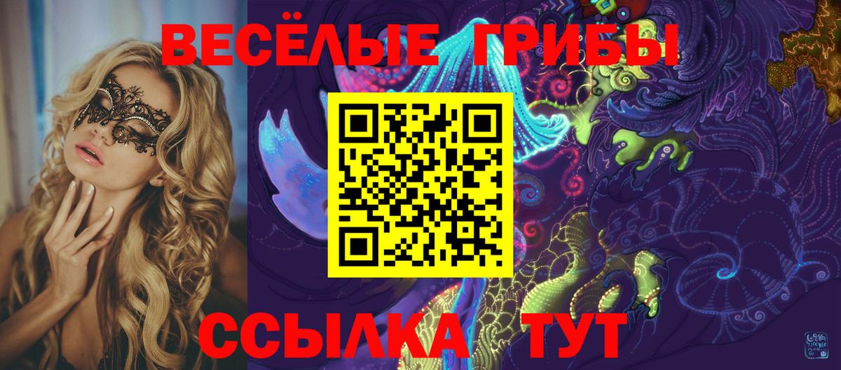 Галлюциногенные грибы мицелий Дивногорск