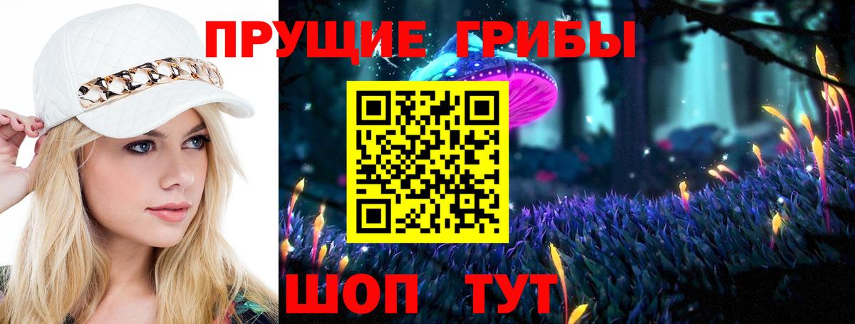 Дивногорск  Галлюциногенные грибы ЛСД  Псилоцибиновые грибы Psilocybine cubensis  Вход с VPN 